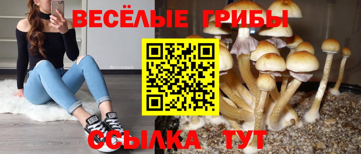 Озёрск  Галлюциногенные грибы Psilocybe  Вход с VPN 